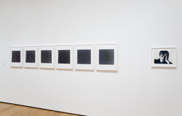 Installation photo, 9 of 13