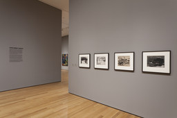 Installation photo, 20 of 66