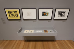 Installation photo, 4 of 66