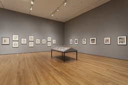 Installation photo, 58 of 66