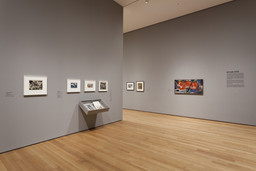 Installation photo, 9 of 66