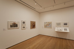 Installation photo, 14 of 23