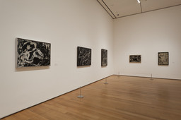 Installation photo, 16 of 56