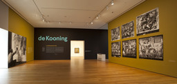 Installation photo, 1 of 56