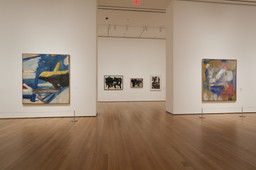 Installation photo, 33 of 56