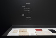 Marcel Broodthaers: A Retrospective. Feb 14–May 15, 2016. 2 other works identified