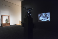 Marcel Broodthaers: A Retrospective. Feb 14–May 15, 2016.