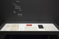 Marcel Broodthaers: A Retrospective. Feb 14–May 15, 2016. 2 other works identified