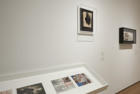 Marcel Broodthaers: A Retrospective. Feb 14–May 15, 2016.