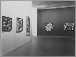 Installation photo, 4 of 21