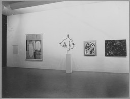 Installation photo, 18 of 21