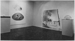 Installation photo, 2 of 2