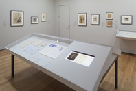 Dadaglobe Reconstructed. Jun 12–Sep 18, 2016. 1 other work identified