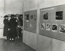 Installation photo, 2 of 9