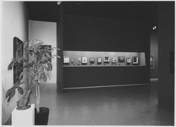 Installation photo, 8 of 21
