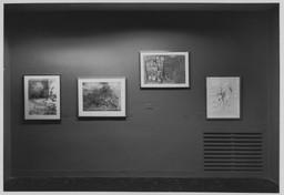 Installation photo, 14 of 16