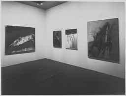 Installation photo, 5 of 14