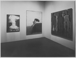 Installation photo, 7 of 14