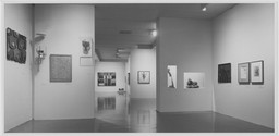 Installation photo, 14 of 36
