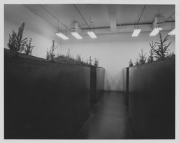 Installation photo, 6 of 9
