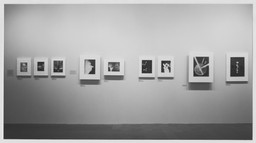 Installation photo, 4 of 22
