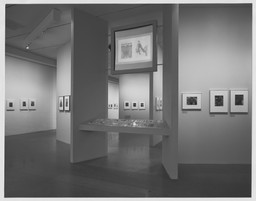 Installation photo, 18 of 22