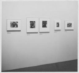 Installation photo, 22 of 22