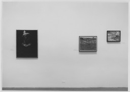 Installation photo, 2 of 3