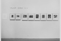 Walker Evans, 1903–1975. Apr 14–Jun 22, 1975. 1 other work identified