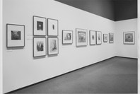 The Symbolist Aesthetic. Dec 22, 1980–Mar 10, 1981. 1 other work identified