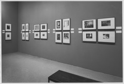 Installation photo, 17 of 52