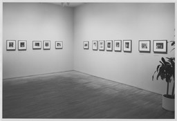 Installation photo, 17 of 19