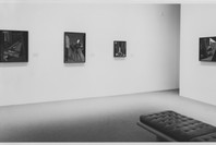 Selections from the Permanent Collection: Painting and Sculpture. May 17, 1984–Aug 4, 1992. 2 other works identified