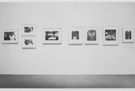 Selections from the Permanent Collection: Photography. May 17, 1984. 2 other works identified