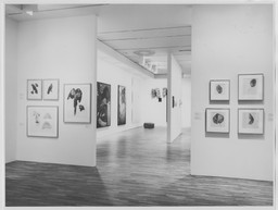 Installation photo, 31 of 66