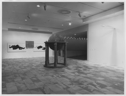 Installation photo, 41 of 66