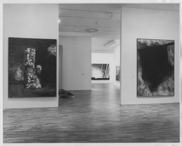 Installation photo, 46 of 66