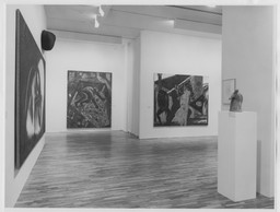 Installation photo, 54 of 66
