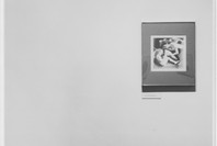 A Personal View: Photography in the Collection of Paul F. Walter. May 23–Aug 13, 1985.
