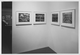 Installation photo, 5 of 9