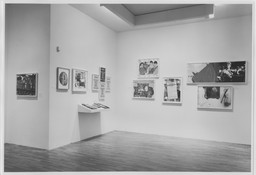 Installation photo, 10 of 24