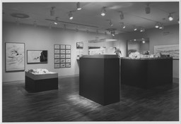 Installation photo, 13 of 14
