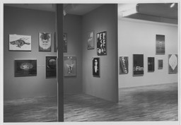 Installation photo, 34 of 49