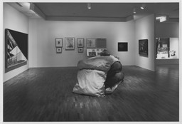 Installation photo, 25 of 86