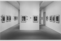 Gay Block: Rescuers of the Holocaust. Jan 16–Apr 14, 1992. 1 other work identified
