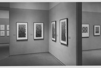 Allegories of Modernism: Contemporary Drawing. Feb 16–May 5, 1992. 1 other work identified