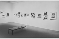 Recent Acquisitions: Photography. Feb 4–Apr 6, 1993.