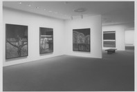 Selections from the Permanent Collection of Painting and Sculpture. Jul 1, 1993. 1 other work identified