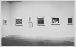 Installation photo, 11 of 14