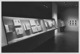 Installation photo, 8 of 25